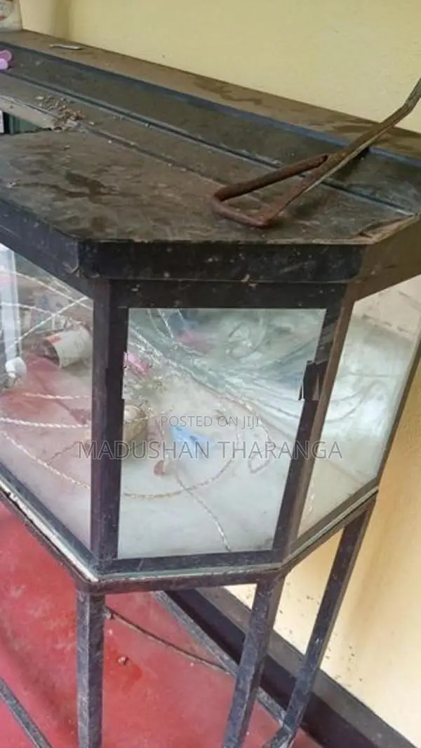 Fish Tank