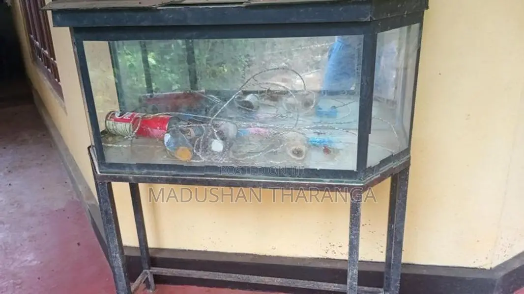 Fish Tank