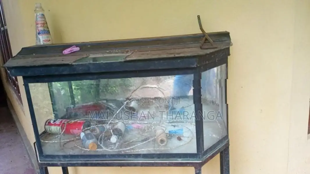 Fish Tank