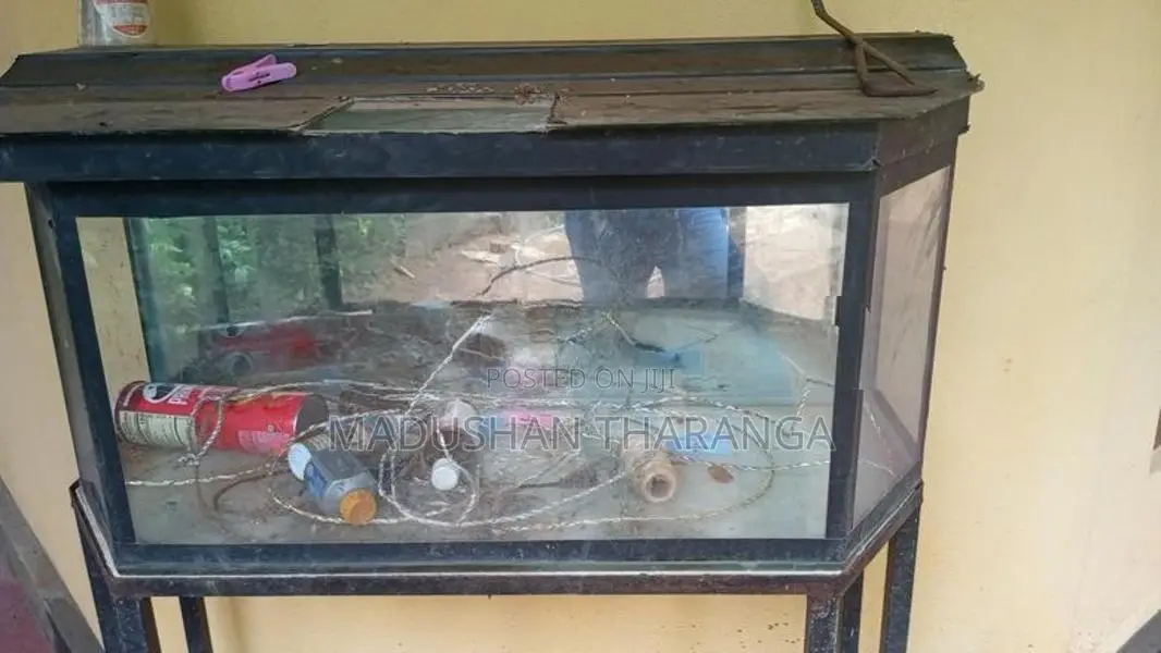 Fish Tank