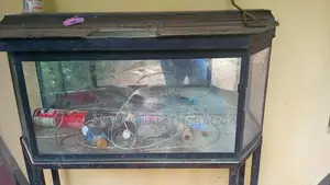 Fish Tank