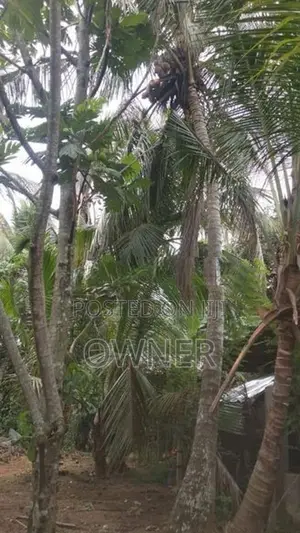 ගම්පහ,මාකෙවිට පෙදෙසින් ඉඩමක් විකිණීම