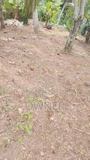 ගම්පහ,මාකෙවිට පෙදෙසින් ඉඩමක් විකිණීම