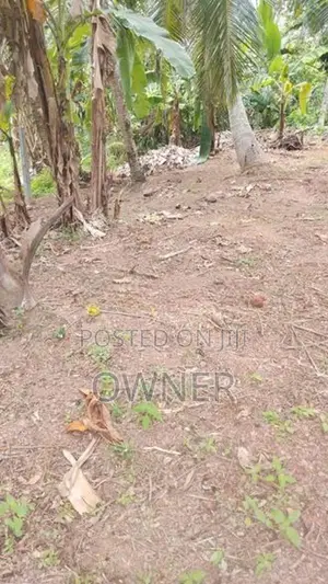 ගම්පහ,මාකෙවිට පෙදෙසින් ඉඩමක් විකිණීම