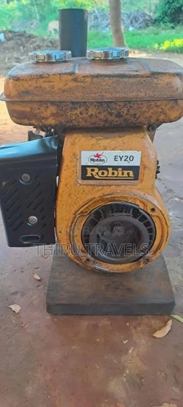 Robin EY 20 Gasoline