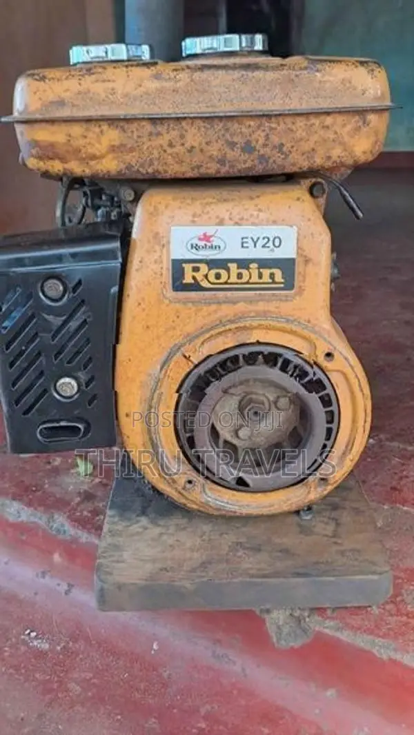 Robin EY 20 Gasoline