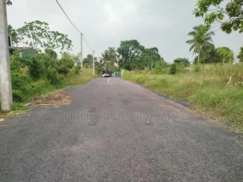පිලියන්දල මඩපාත හන්දියට ආසන්නව බිම් කොටස් විකිණීමට