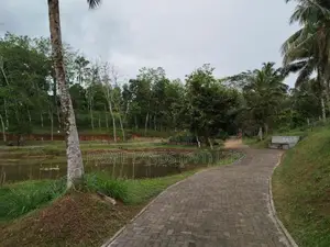 හෝමාගම නගරයට නුදුරින් බිම් කොටස් විකිණීමට