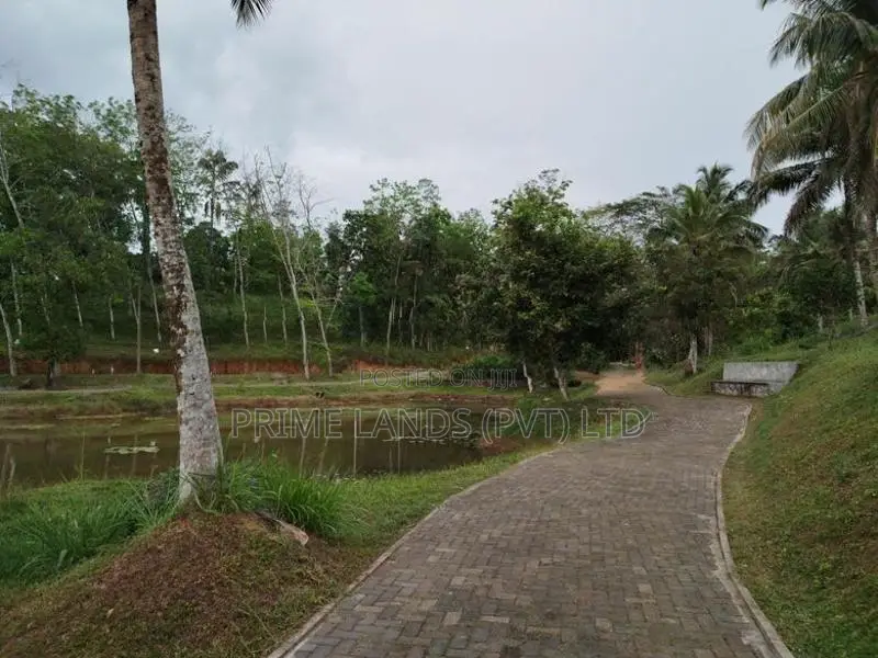 හෝමාගම නගරයට නුදුරින් බිම් කොටස් විකිණීමට