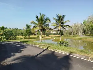 හෝමාගම නගරයට නුදුරින් බිම් කොටස් විකිණීමට