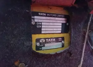 Tata Dimo Batta 2010