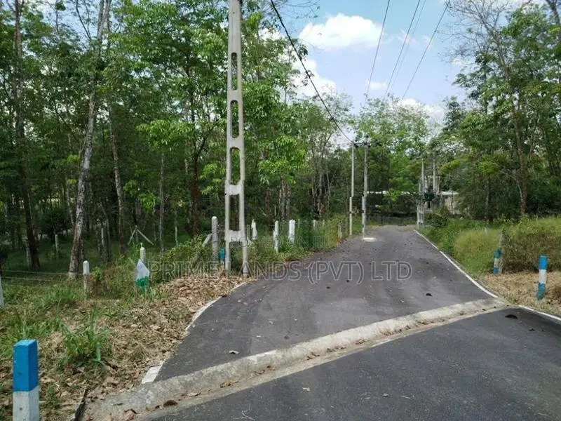 හෝමාගම නගරයට නුදුරින් බිම් කොටස් විකිණීමට