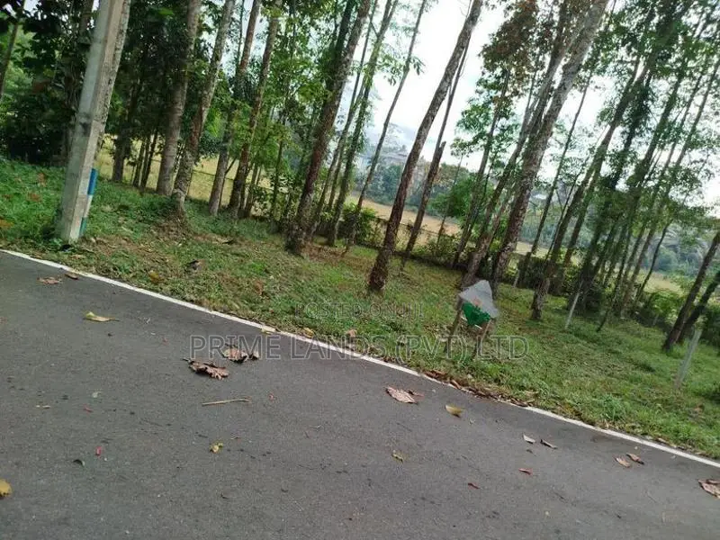හෝමාගම නගරයට නුදුරින් බිම් කොටස් විකිණීමට