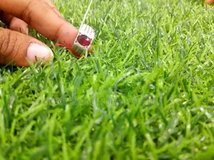 Silver Ring