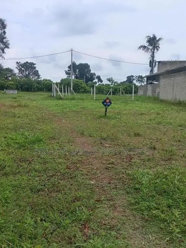 Best Residential Land for Sale in Thalagala