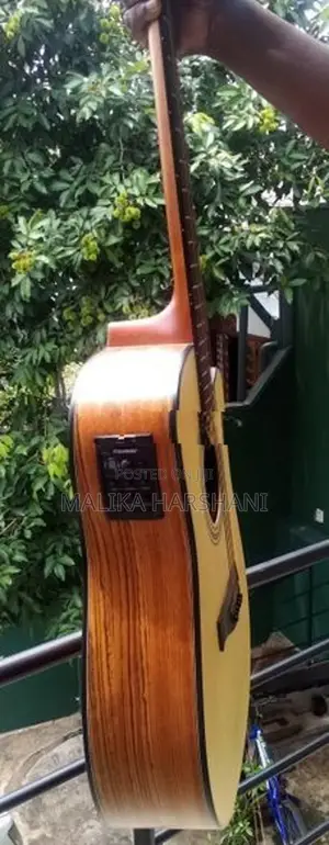 Electric Box Guitar