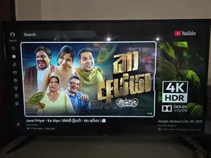 55 Inch Prism Smart Tv
