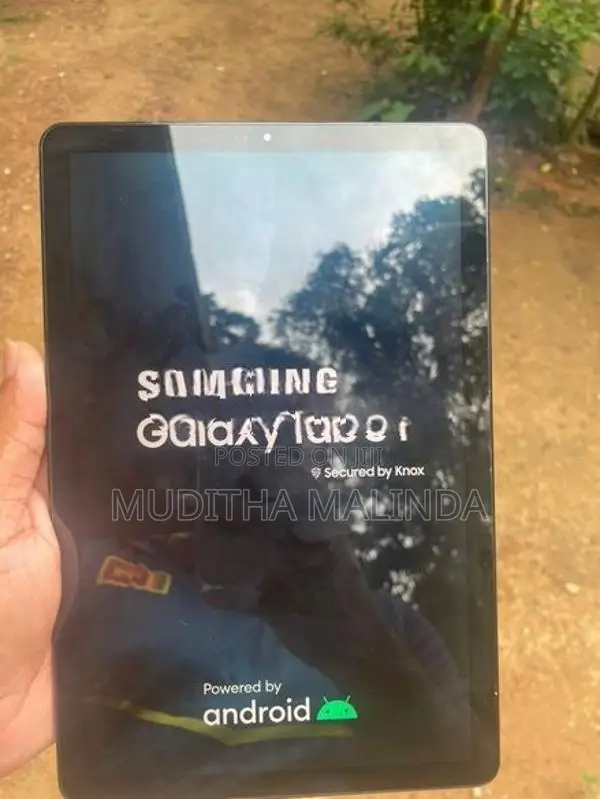 Samsung Galaxy S4