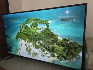 55 Inch Prism Smart Tv
