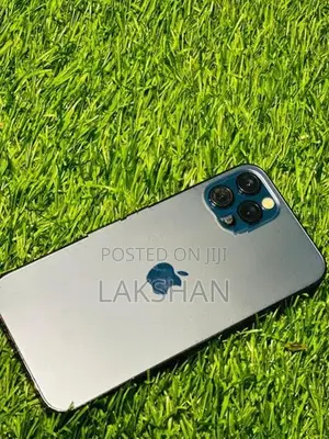 Apple iPhone 12 Pro (Used)
