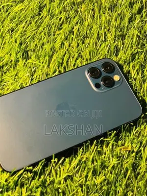 Apple iPhone 12 Pro (Used)