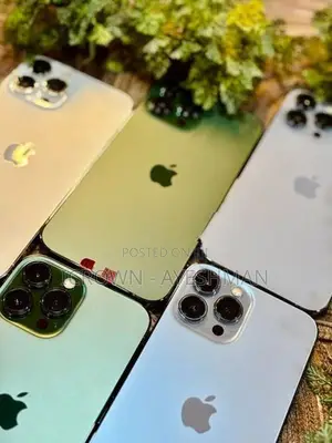 Apple iPhone 13 Pro Max 256GB (Used)