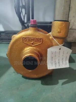 Water Pump 0.75HP (N110T/1N)