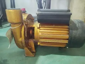 Water Pump 0.75HP (N110T/1N)