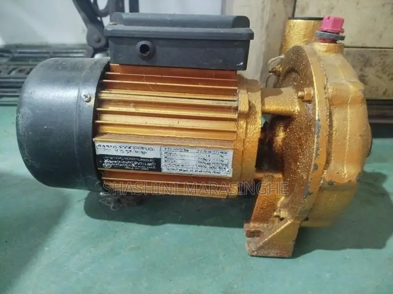 Water Pump 0.75HP (N110T/1N)