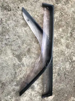 Dolphin door viser