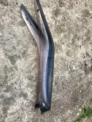 Dolphin door viser