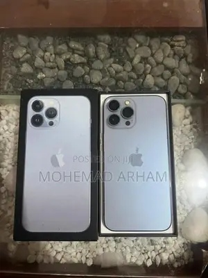 Apple iPhone 13 Pro Max (Used)