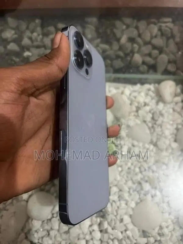 Apple iPhone 13 Pro Max (Used)