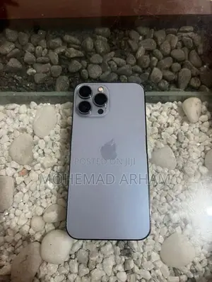 Apple iPhone 13 Pro Max (Used)