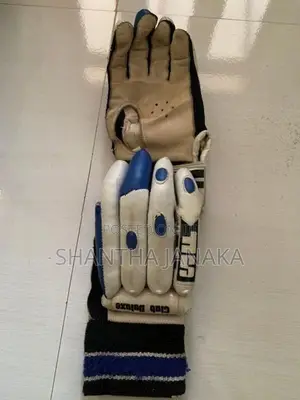 Cricket Set