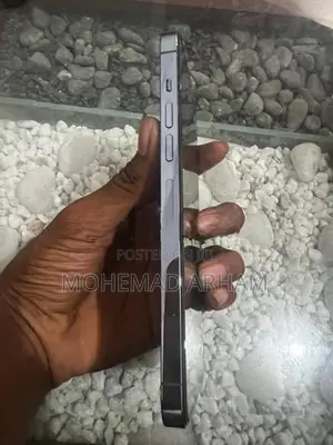 Apple iPhone 13 Pro Max (Used)