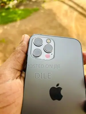 Apple iPhone 12 Pro (Used)