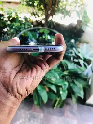 Apple iPhone 11 (Used)