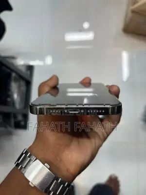Apple iPhone 12 Pro Max (Used)