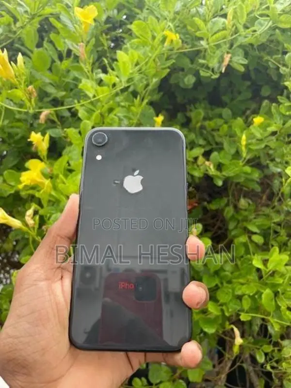 Apple iPhone XR (Used)