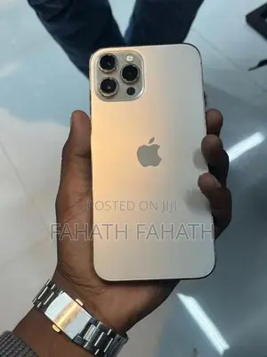 Apple iPhone 12 Pro Max (Used)