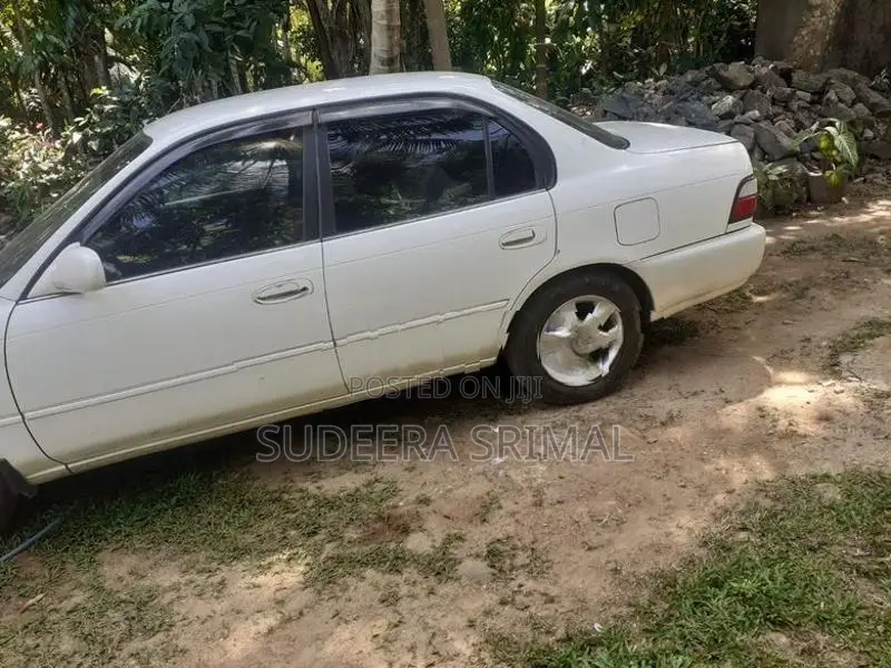 Toyota Corolla 1991