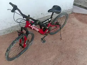 Lumala Bicycle