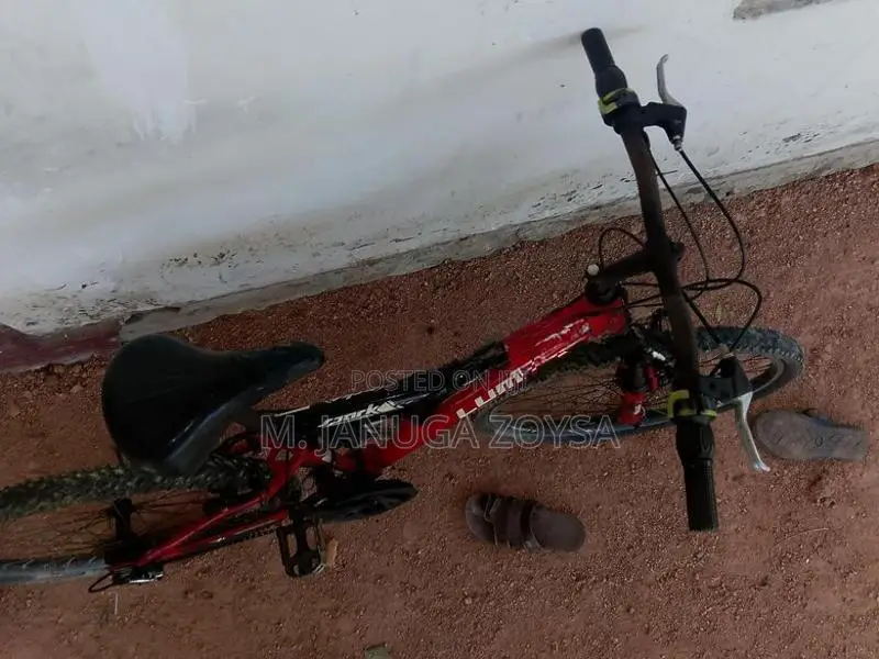 Lumala Bicycle