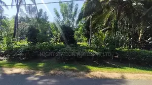 191P Valuable Land with Beautiful House – Thummodara