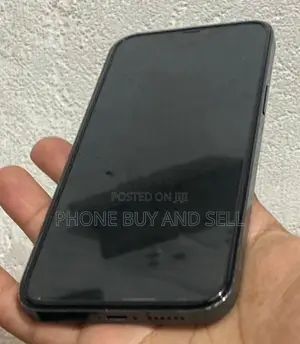 Apple iPhone 12 Pro Max 256GB (Used)
