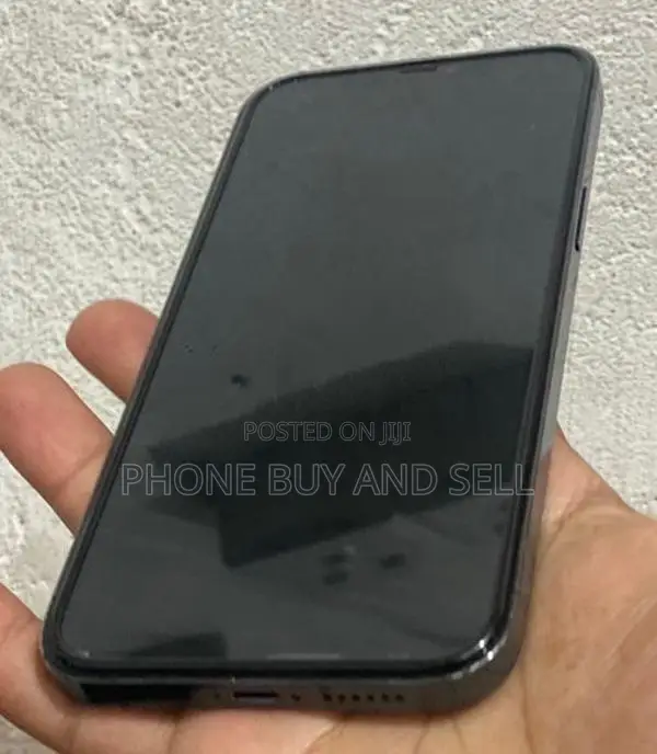 Apple iPhone 12 Pro Max 256GB (Used)