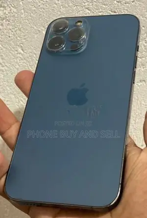 Apple iPhone 12 Pro Max 256GB (Used)