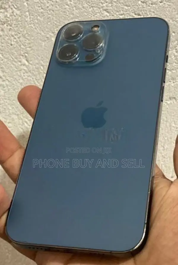 Apple iPhone 12 Pro Max 256GB (Used)