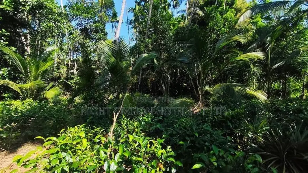191P Valuable Land with Beautiful House – Thummodara
